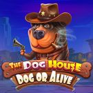 The Dog House - Dog or Alive