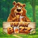 Bear Buzz