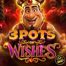 3 POTS OF WISHES