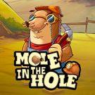 Mole In The Hole