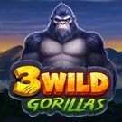 3 Wild Gorillas
