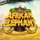 African Elephant