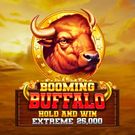 Booming Buffalo Hold and Win Extreme 25,000