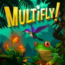 MultiFly!