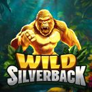 Wild Silverback