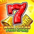 Wild Hot 40 Free Spins