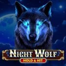 Night Wolf - Hold & Hit