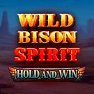 Wild Bison Spirit Hold And Win
