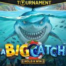 A BIG CATCH - HOLD & WIN