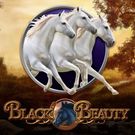 Black Beauty