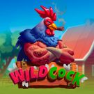 Wild Cock