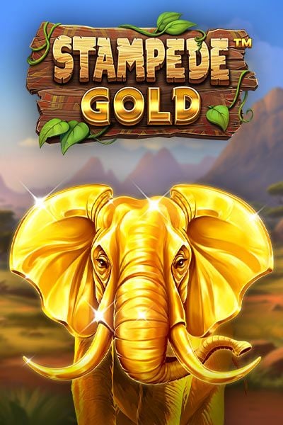 Stampede Gold