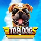 3 Top Dogs